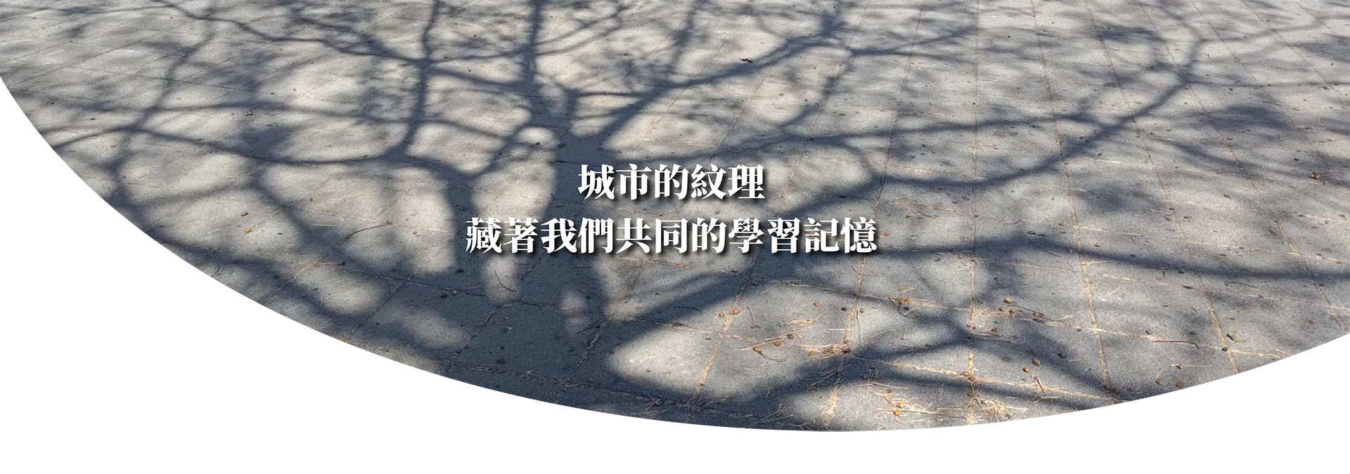 美感講座
